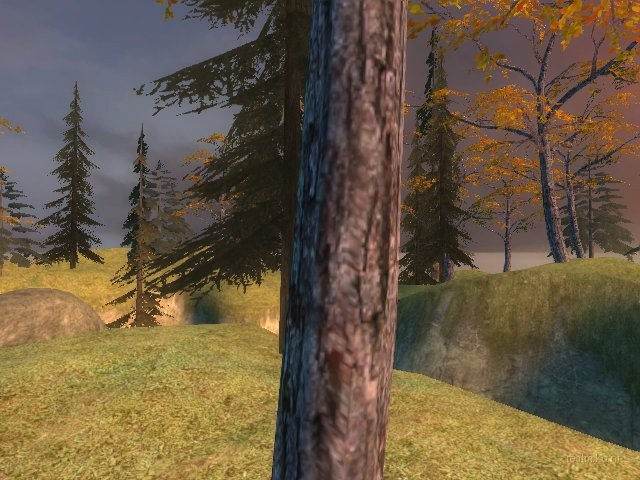 fy_nature_forest thumb 2