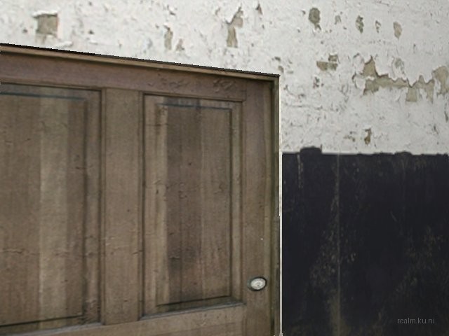 fy_newsealand thumb 4