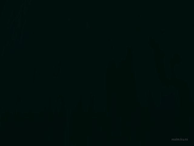 fy_nigthfox thumb 100