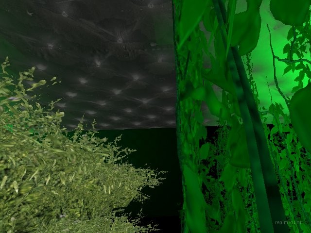 fy_office_grassy thumb 6