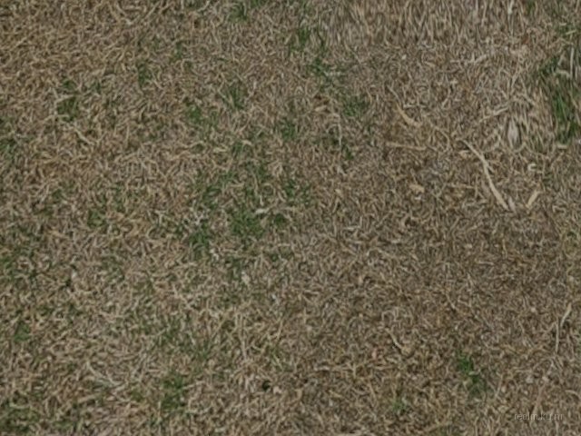 fy_pablobeta thumb 33