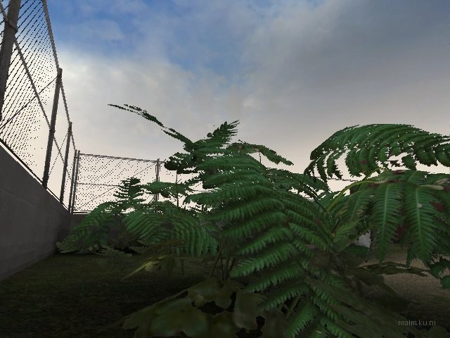 fy_palino_pe7 thumb 17