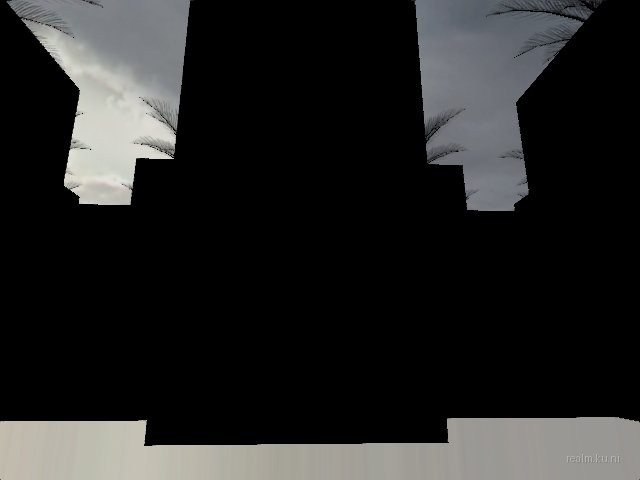 fy_palm_arena thumb 19