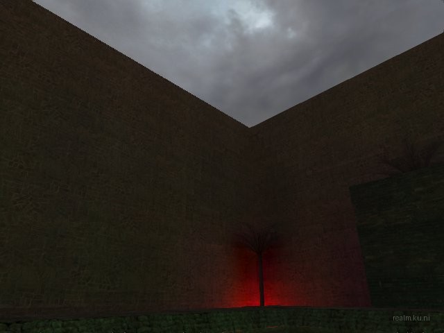 fy_palms_fabi thumb 6