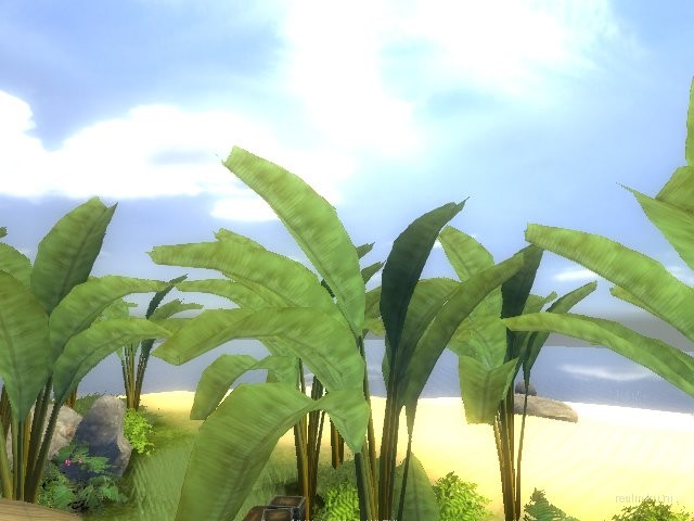 fy_paradise_b1 thumb 13