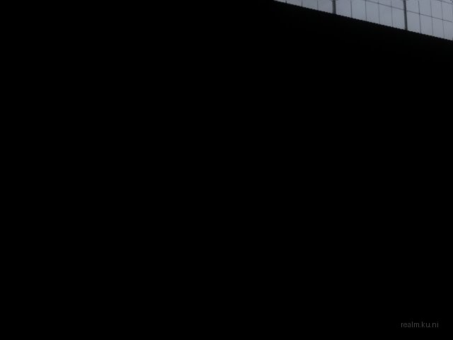 fy_pool_milo thumb 12