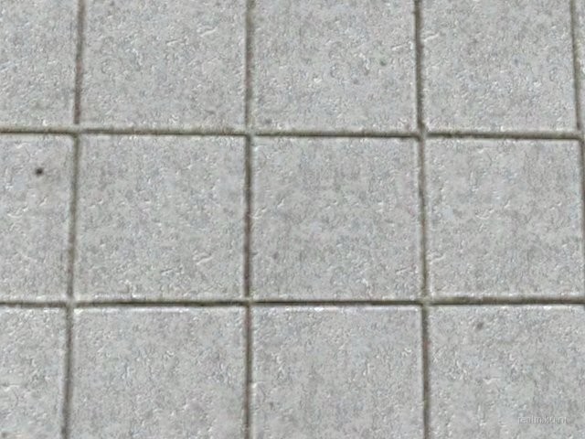 fy_poolday_v1 thumb 15