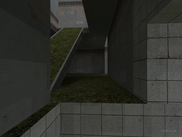 fy_poolparty_2009_summer thumb 12