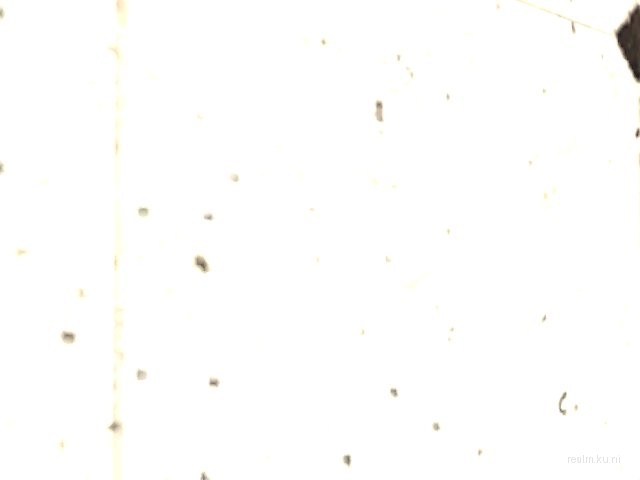 fy_poolparty_openair_beta thumb 3