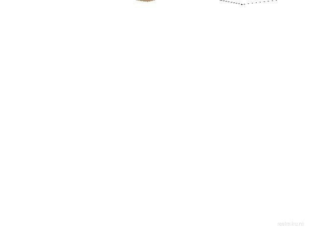 fy_poolparty_space_ext for css screenshot