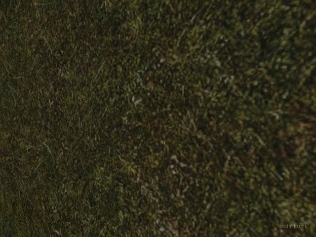 fy_recon_says_v1 thumb 11