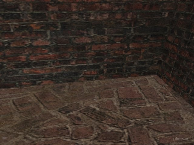 fy_run_t_shoot_ct thumb 19