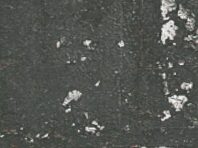 fy_scatterbrain thumb 9