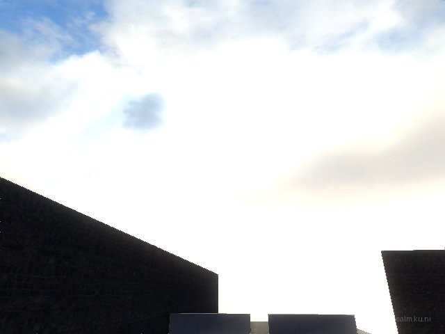 fy_shoppers thumb 15