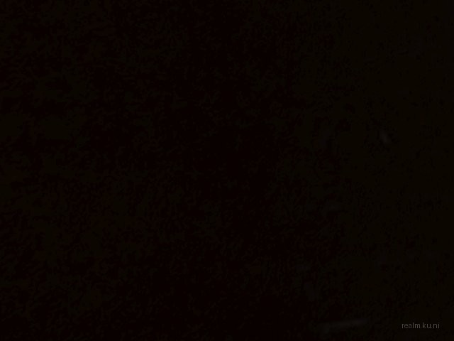 fy_shoppers thumb 11