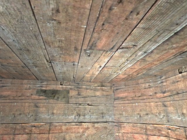 fy_snaketail_wilderness thumb 6