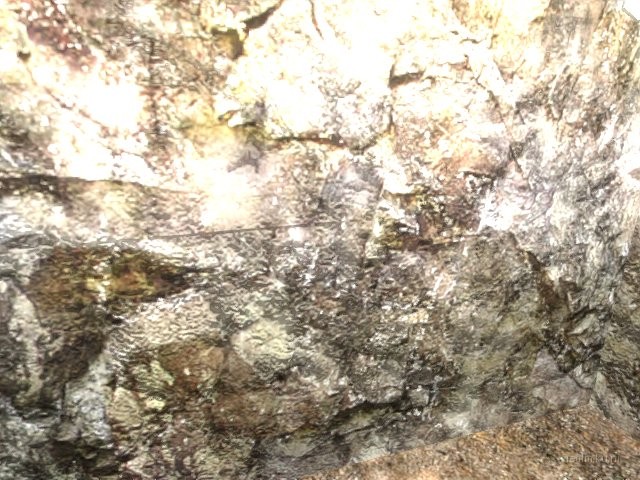 fy_tb_nature_v2 thumb 2