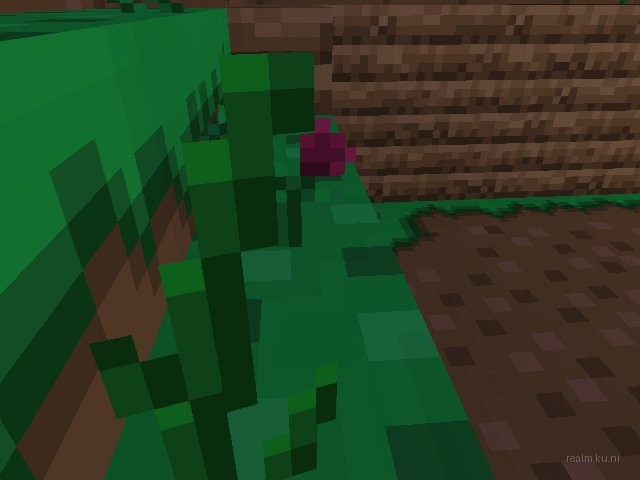 fy_terraria for css screenshot