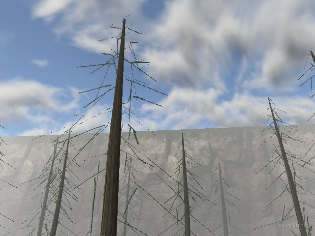fy_wald_v2 thumb 7