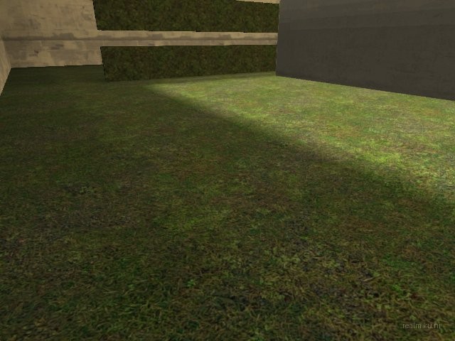 fy_zifle thumb 5