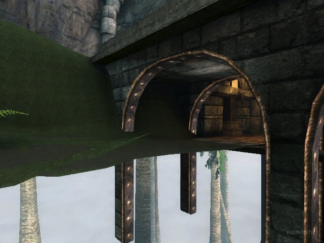 dm_albatross thumb 11