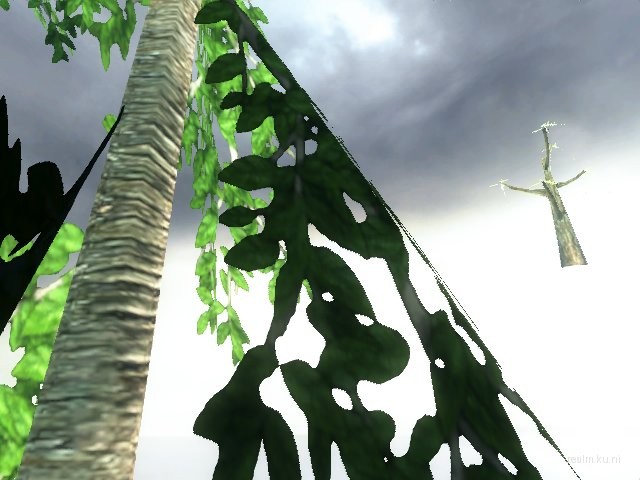 dm_albatross thumb 17
