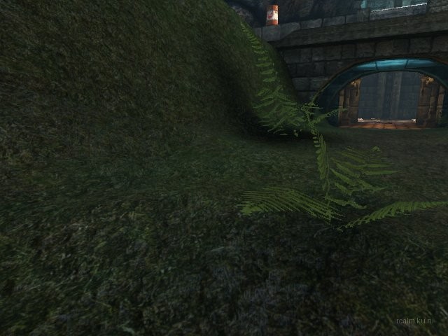 dm_albatross_b05 thumb 20