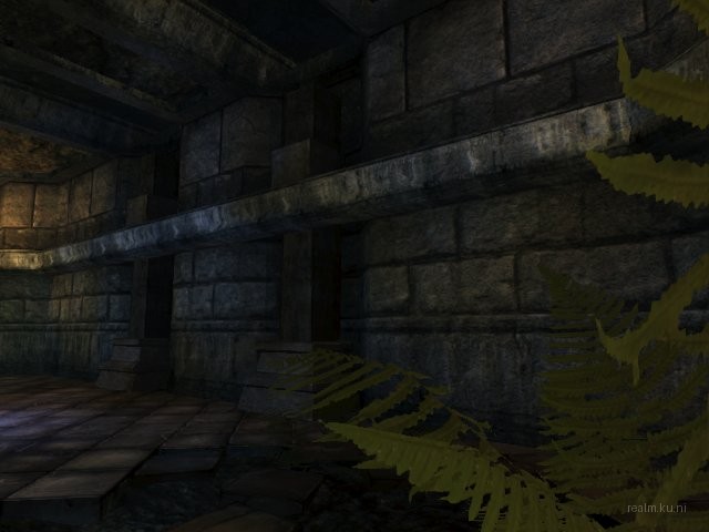 dm_albatross_b05 thumb 31