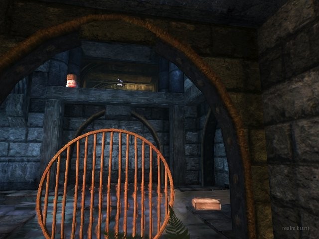 dm_albatross_b05 thumb 24