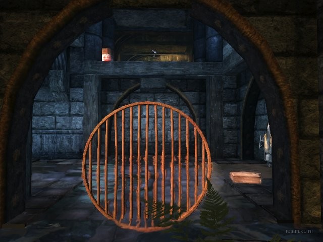 dm_albatross_b05 thumb 8