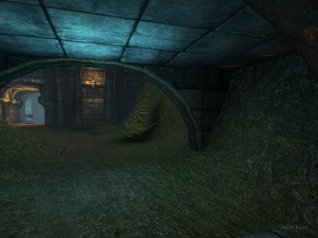 dm_albatross_b05 thumb 10