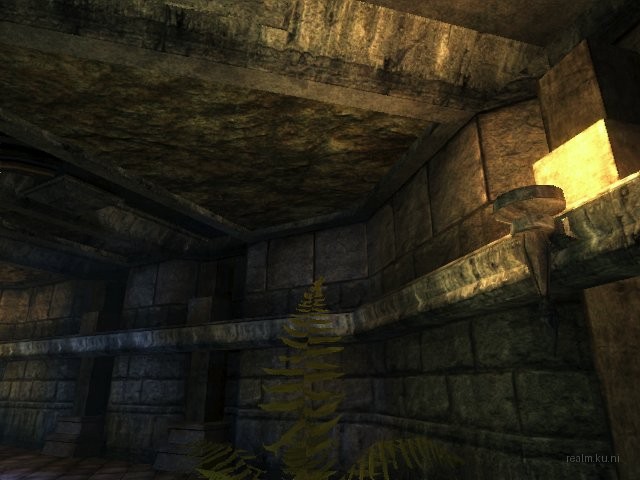 dm_albatross_b05 thumb 19