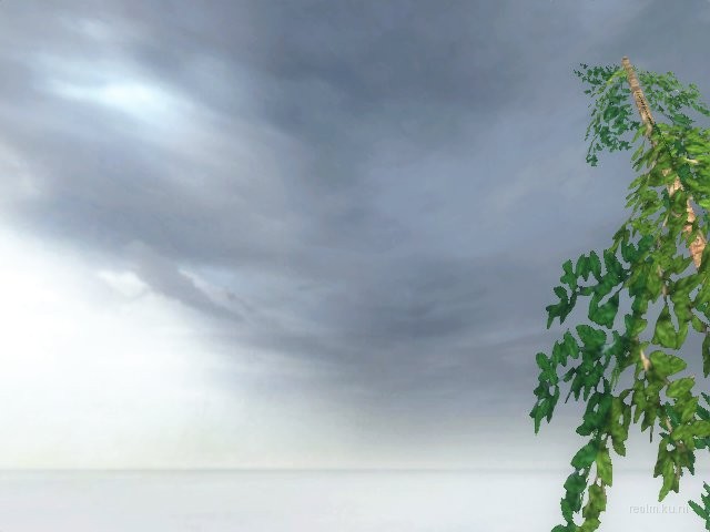 dm_albatross_rc2 thumb 3
