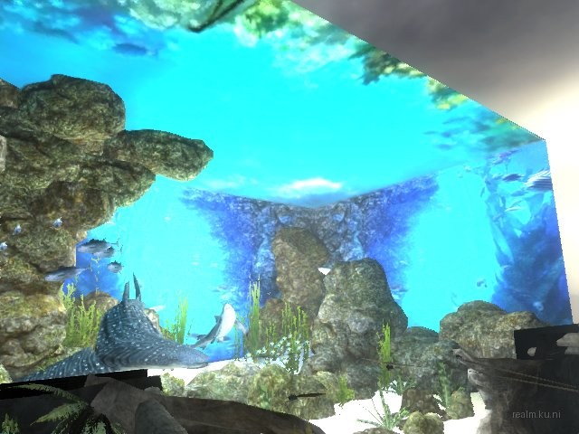 dm_aquarium_v4f thumb 40
