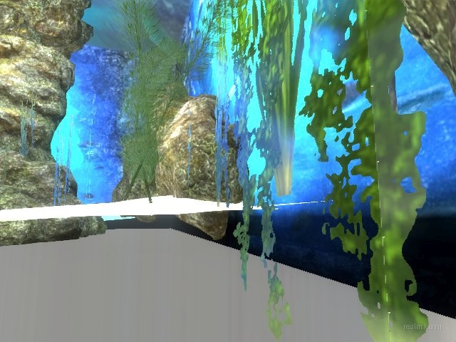 dm_aquarium_v4f thumb 10