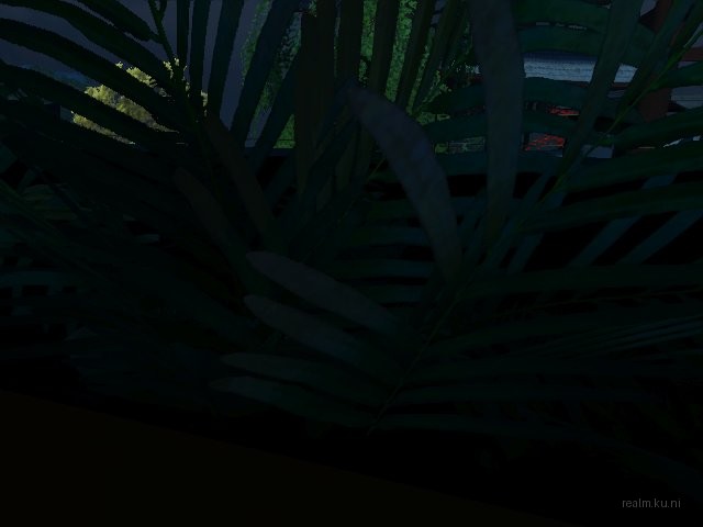 dm_katsura_night thumb 41