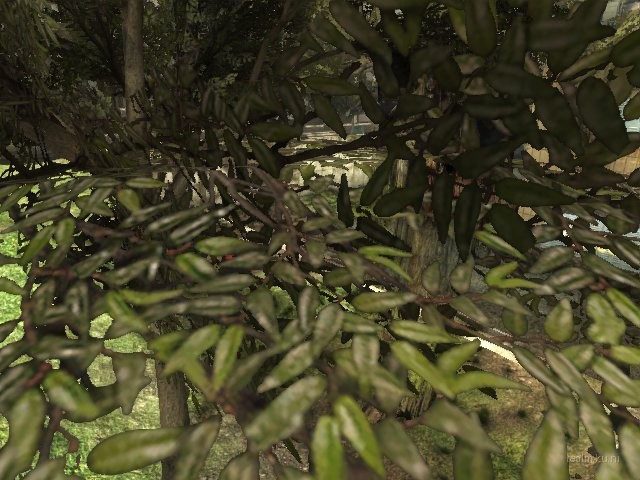 dm_ghettoquad_r6 thumb 8
