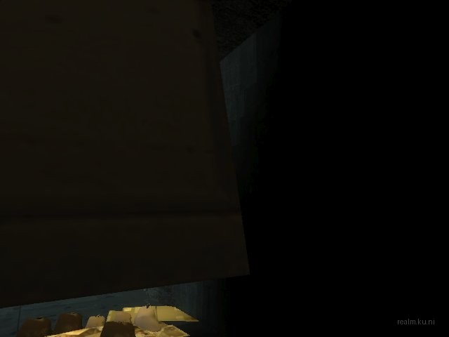 dm_hl2 thumb 11