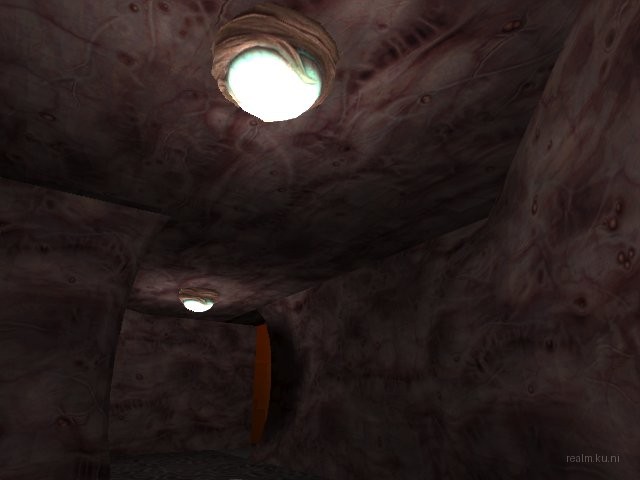 dm_dopamine_rw1 thumb 8