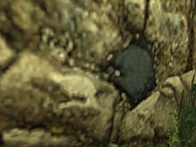 dm_leika_efps_b4 thumb 38