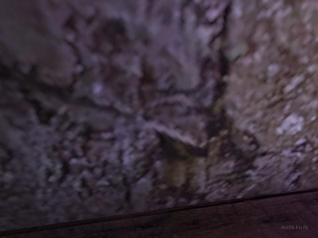 dm_911_cell_rats thumb 9