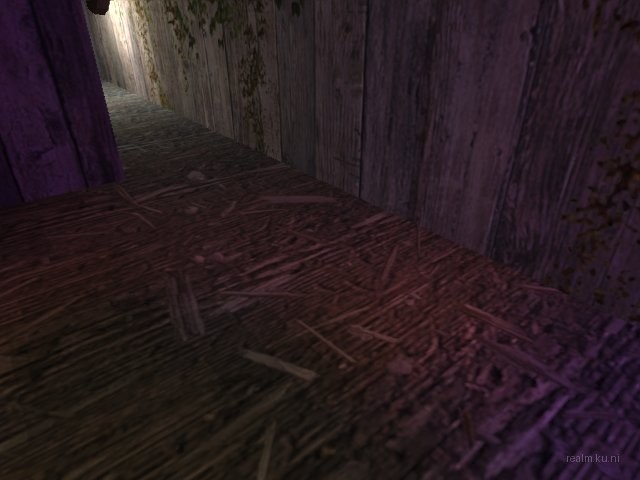 dm_911_cell_rats thumb 29