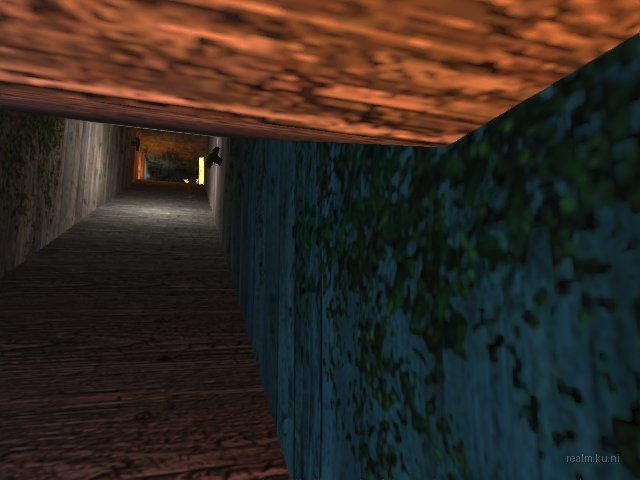 dm_911_cell_rats thumb 12