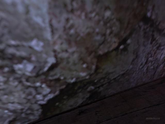 dm_911_cell_rats_b1 thumb 10