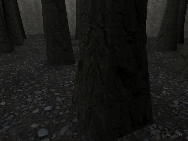 bifurcation_1_hl2mp_ru thumb 38