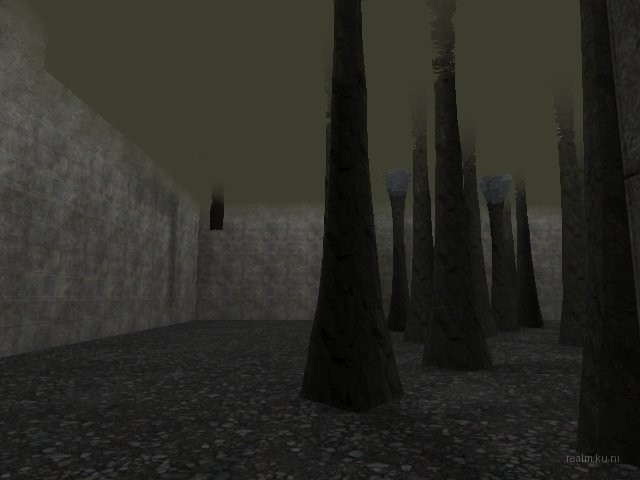 bifurcation_1_hl2mp_ru thumb 13