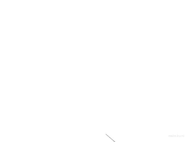 dm_stalkx2_b4 thumb 9