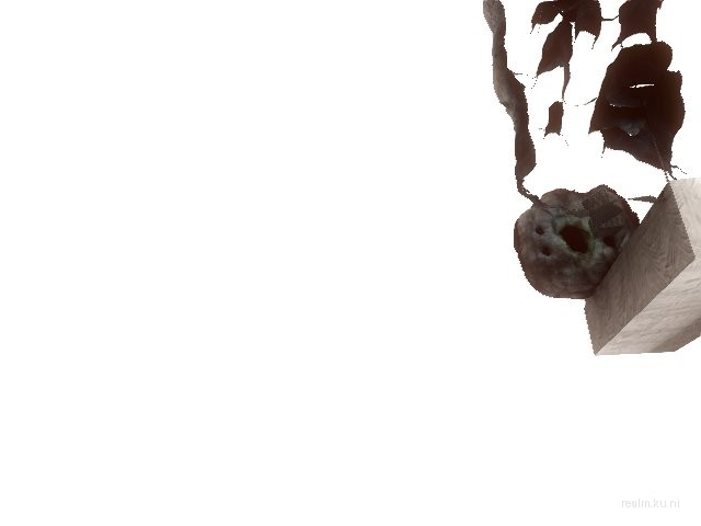 dm_xenarium_r1 thumb 6