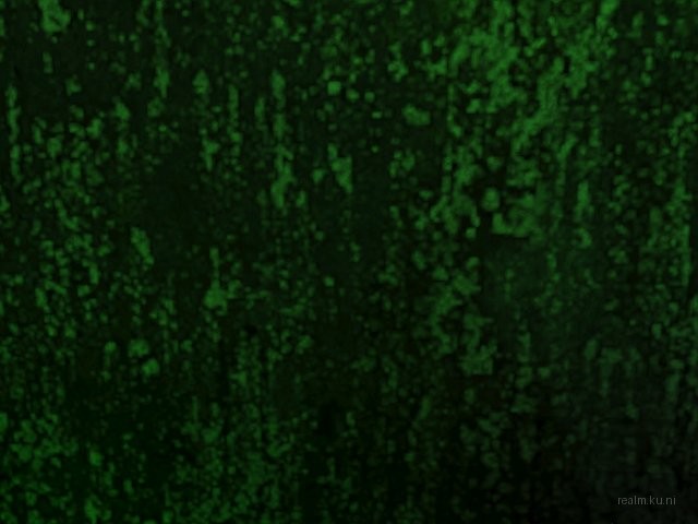 dm_sniper_g4_pcp_v6 thumb 75