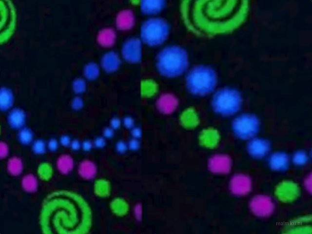 dm_starter_14 thumb 17